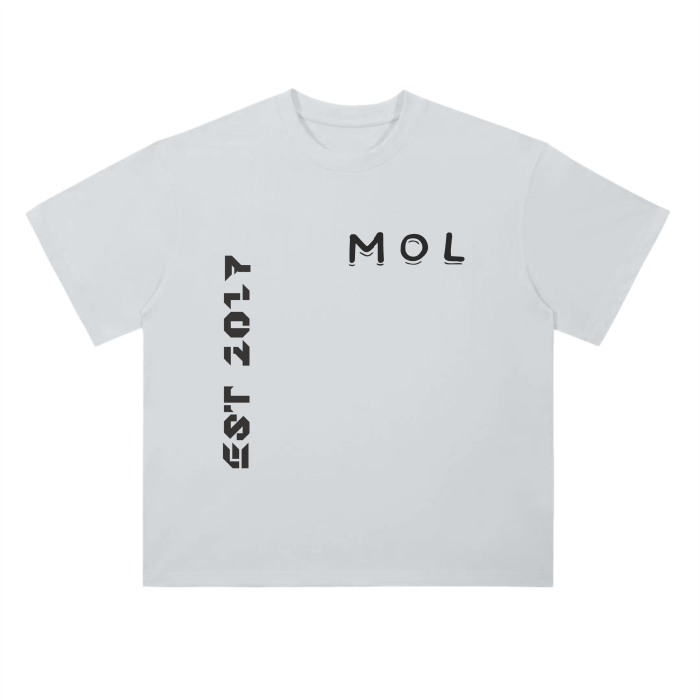 Drop Shoulder T-Shirt - 300 GSM