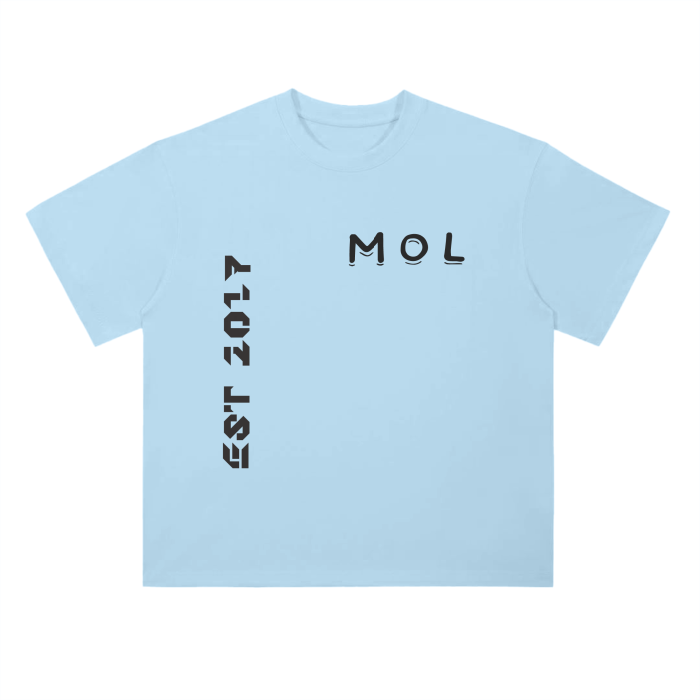 Drop Shoulder T-Shirt - 300 GSM