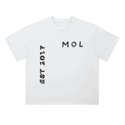 Drop Shoulder T-Shirt - 300 GSM