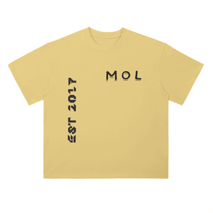 Drop Shoulder T-Shirt - 300 GSM
